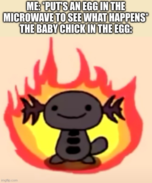 freshly cooked chicken little anyone? | ME: *PUT'S AN EGG IN THE MICROWAVE TO SEE WHAT HAPPENS*
THE BABY CHICK IN THE EGG: | image tagged in funny,arson,memes | made w/ Imgflip meme maker