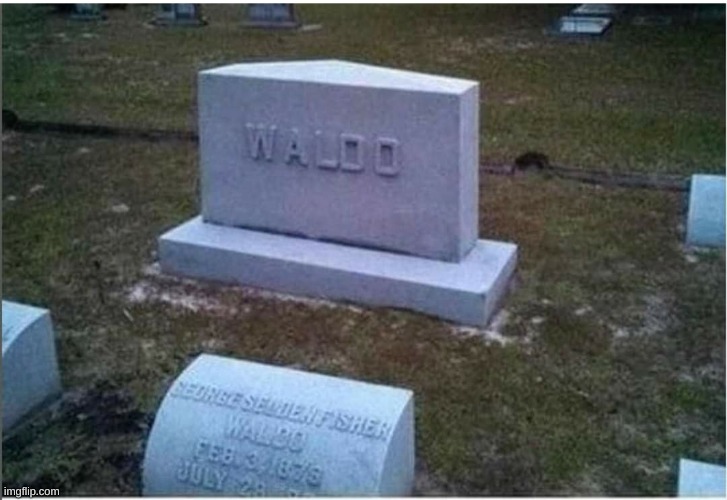 Waldo, Where's Waldo | image tagged in waldo where's waldo | made w/ Imgflip meme maker