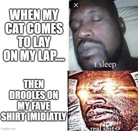 splitter splateter- "oohh whats that water mark on my shirt??!!" | WHEN MY CAT COMES TO LAY ON MY LAP.... THEN DROOLES ON MY FAVE SHIRT IMIDIATLY | image tagged in i sleep real shit,cats,go away,why are you reading the tags,stop reading the tags,just do it | made w/ Imgflip meme maker