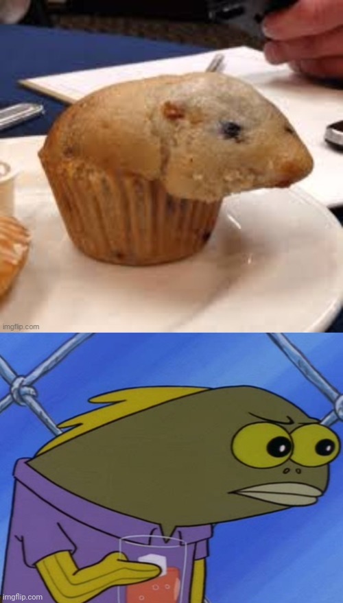 image tagged in spongebob long neck fish | made w/ Imgflip meme maker