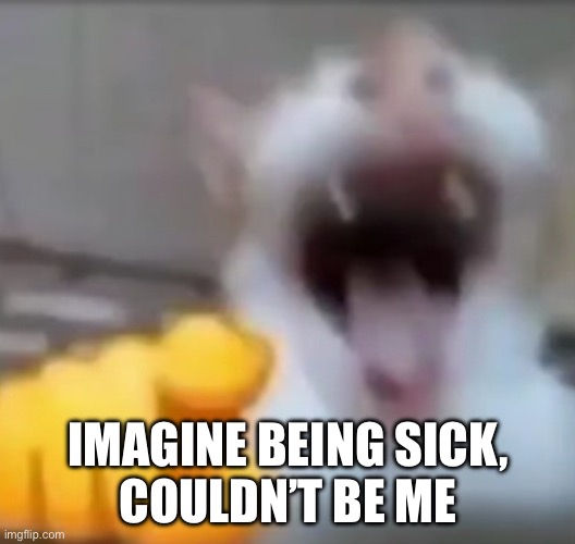 Cat pointing and laughing | IMAGINE BEING SICK,
COULDN’T BE ME | image tagged in cat pointing and laughing | made w/ Imgflip meme maker