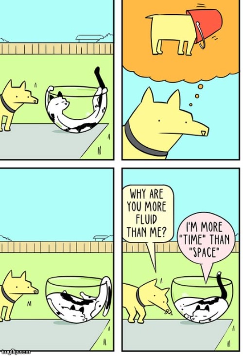 Liquid Cato | image tagged in liquid,cats,cat,comics,comics/cartoons,dog | made w/ Imgflip meme maker