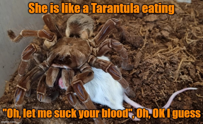 If this is not dark humor I have no idea what is | She is like a Tarantula eating; "Oh, let me suck your blood", Oh, OK I guess | image tagged in dark humor,sex jokes,political correctness | made w/ Imgflip meme maker