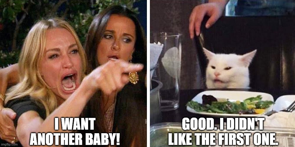 Smudge the cat | I WANT ANOTHER BABY! GOOD. I DIDN'T LIKE THE FIRST ONE. | image tagged in smudge the cat | made w/ Imgflip meme maker