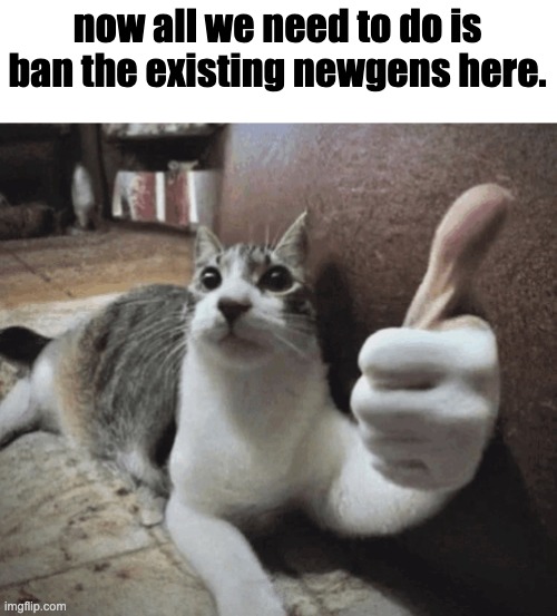 cat thumbs up | now all we need to do is ban the existing newgens here. | image tagged in cat thumbs up | made w/ Imgflip meme maker