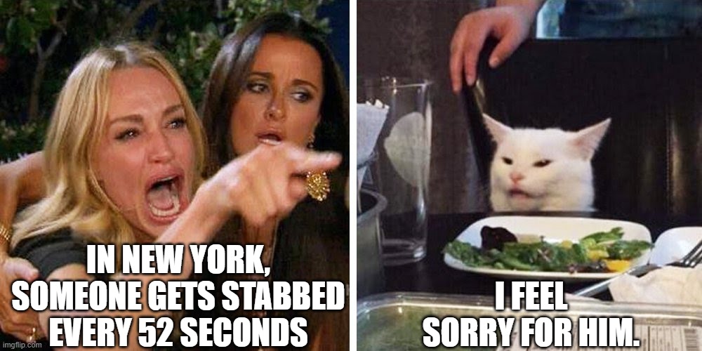 Stabbed | IN NEW YORK, SOMEONE GETS STABBED EVERY 52 SECONDS; I FEEL SORRY FOR HIM. | image tagged in smudge the cat | made w/ Imgflip meme maker