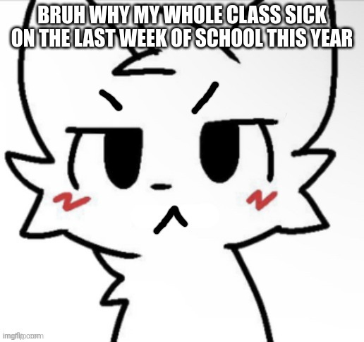 idfk | BRUH WHY MY WHOLE CLASS SICK ON THE LAST WEEK OF SCHOOL THIS YEAR | image tagged in angry boykisser | made w/ Imgflip meme maker