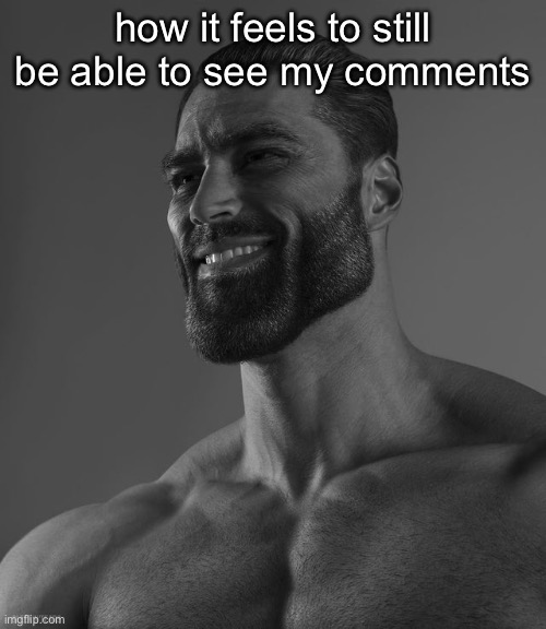 Giga Chad | how it feels to still be able to see my comments | image tagged in giga chad | made w/ Imgflip meme maker