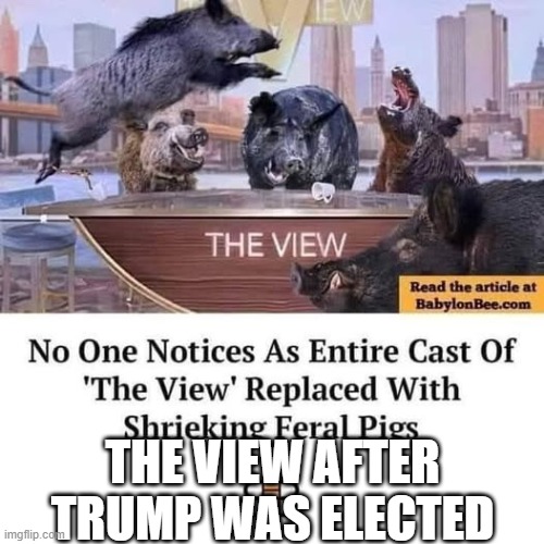 Welcome to The View | THE VIEW AFTER TRUMP WAS ELECTED | image tagged in welcome to the view | made w/ Imgflip meme maker