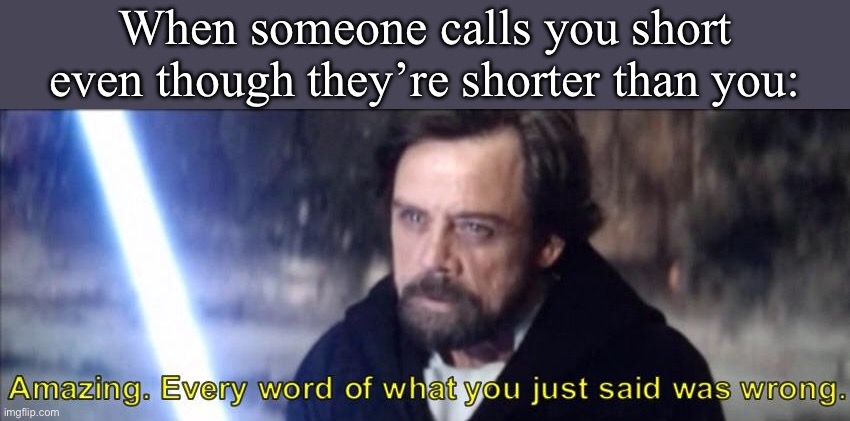 Wrong | When someone calls you short even though they’re shorter than you: | image tagged in every word of what you just said was wrong | made w/ Imgflip meme maker