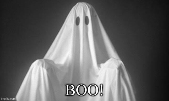 Ahh, so scary:| | BOO! | image tagged in ghost | made w/ Imgflip meme maker