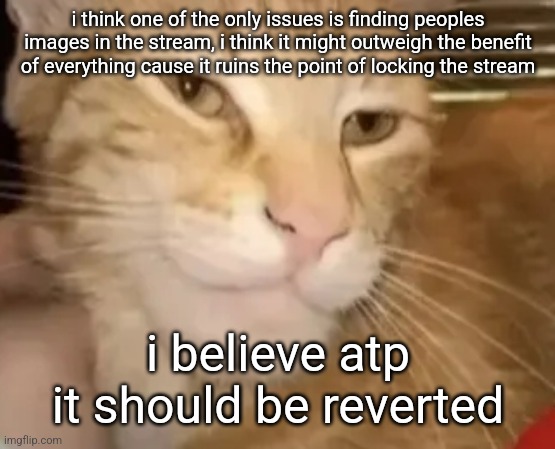 cat mewing | i think one of the only issues is finding peoples images in the stream, i think it might outweigh the benefit of everything cause it ruins the point of locking the stream; i believe atp it should be reverted | image tagged in cat mewing | made w/ Imgflip meme maker