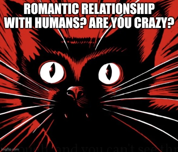 Sabo tabby cat | ROMANTIC RELATIONSHIP WITH HUMANS? ARE YOU CRAZY? | image tagged in sabo tabby cat | made w/ Imgflip meme maker