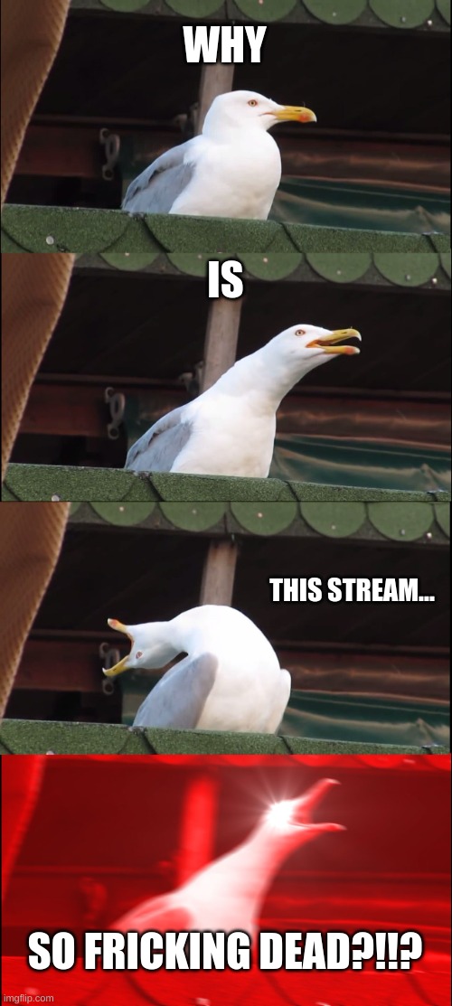 Like do ya'll need a sacrifice? I know a guy in town- | WHY; IS; THIS STREAM... SO FRICKING DEAD?!!? | image tagged in memes,inhaling seagull | made w/ Imgflip meme maker