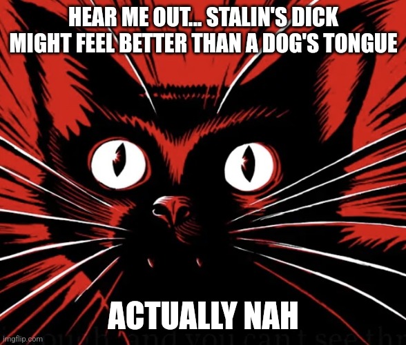 Sabo tabby cat | HEAR ME OUT... STALIN'S DICK MIGHT FEEL BETTER THAN A DOG'S TONGUE; ACTUALLY NAH | image tagged in sabo tabby cat | made w/ Imgflip meme maker