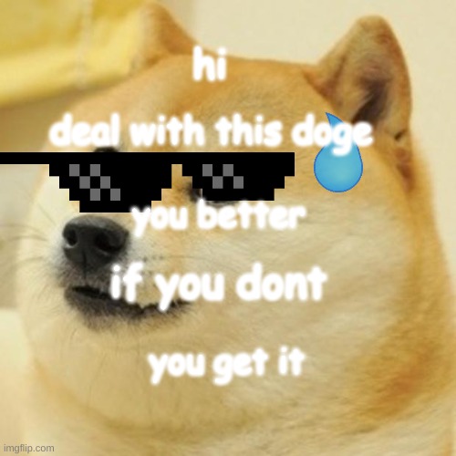 you better deal with this doge | hi; deal with this doge; you better; if you dont; you get it | image tagged in memes,doge | made w/ Imgflip meme maker