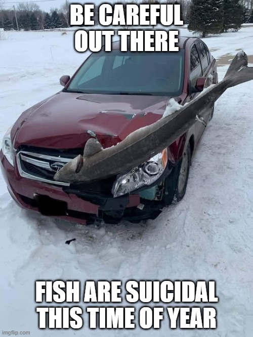 Killer Fish | BE CAREFUL OUT THERE; FISH ARE SUICIDAL THIS TIME OF YEAR | image tagged in funny,memes | made w/ Imgflip meme maker