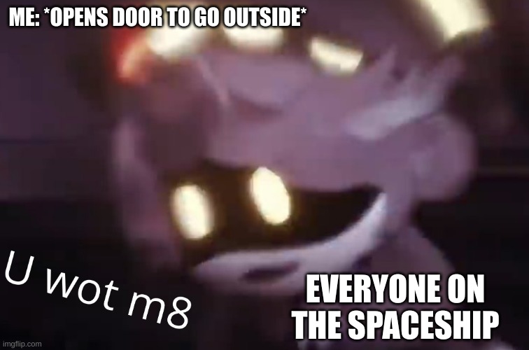 Nah you're cooked | ME: *OPENS DOOR TO GO OUTSIDE*; EVERYONE ON THE SPACESHIP | image tagged in u wot m8 | made w/ Imgflip meme maker