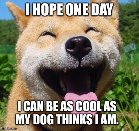 Happy fluffy dog  | I HOPE ONE DAY I CAN BE AS COOL AS MY DOG THINKS I AM. | image tagged in happy fluffy dog | made w/ Imgflip meme maker