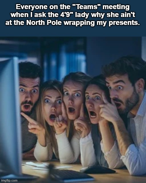 Everyone on the "Teams" meeting when I ask the 4'9" lady why she ain't at the North Pole wrapping my presents. | image tagged in short,funny memes | made w/ Imgflip meme maker