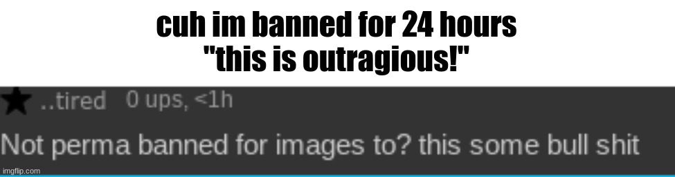 cuh im banned for 24 hours
"this is outragious!" | made w/ Imgflip meme maker