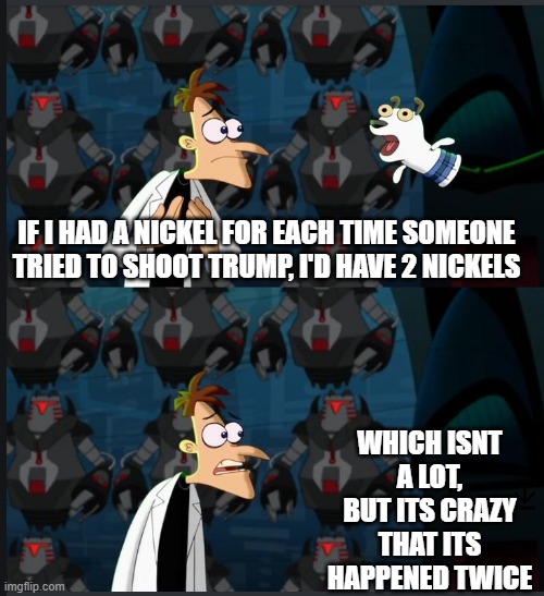 I mean... Am I wrong? | IF I HAD A NICKEL FOR EACH TIME SOMEONE TRIED TO SHOOT TRUMP, I'D HAVE 2 NICKELS; WHICH ISNT A LOT, BUT ITS CRAZY THAT ITS HAPPENED TWICE | image tagged in 2 nickels | made w/ Imgflip meme maker