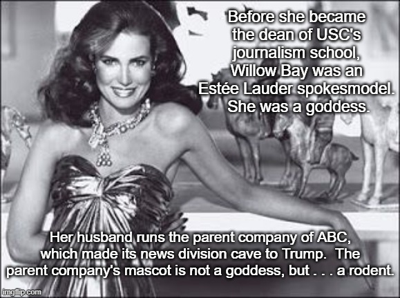 Willow Bay - Journalism - ABC News | Before she became the dean of USC's journalism school, Willow Bay was an Estée Lauder spokesmodel.  She was a goddess. Her husband runs the parent company of ABC, which made its news division cave to Trump.  The parent company's mascot is not a goddess, but . . . a rodent. | image tagged in willow bay,bob iger,disney,abc news,i hate donald trump,trump sucks | made w/ Imgflip meme maker