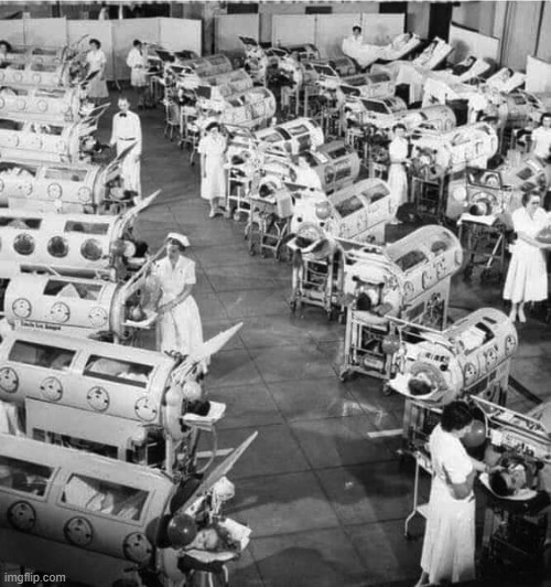 image tagged in iron lungs in a polio ward 1950 before polio vaccinations | made w/ Imgflip meme maker