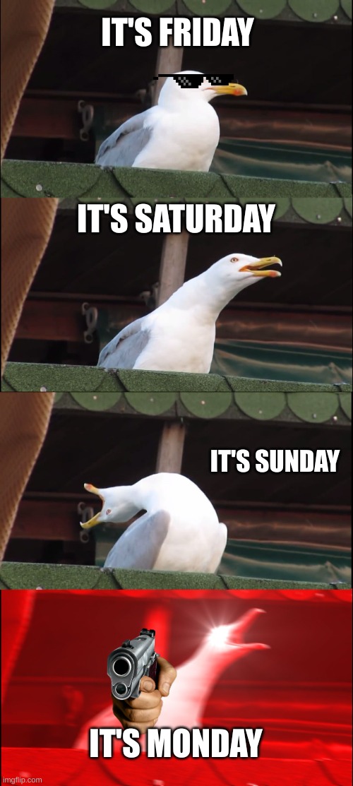 weekend | IT'S FRIDAY; IT'S SATURDAY; IT'S SUNDAY; IT'S MONDAY | image tagged in memes,inhaling seagull | made w/ Imgflip meme maker