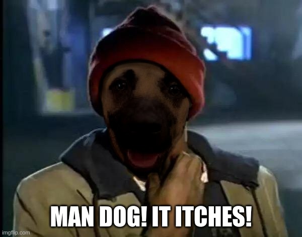 who let the dog snout who...who-who | MAN DOG! IT ITCHES! | image tagged in noot noot,mega noot,ultra noot | made w/ Imgflip meme maker