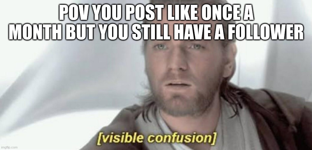 good name | POV YOU POST LIKE ONCE A MONTH BUT YOU STILL HAVE A FOLLOWER | image tagged in visible confusion | made w/ Imgflip meme maker