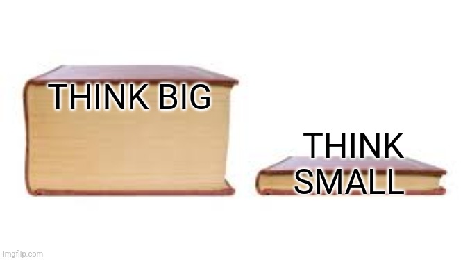 Think big or small | THINK BIG; THINK SMALL | image tagged in big book small book,funny memes | made w/ Imgflip meme maker