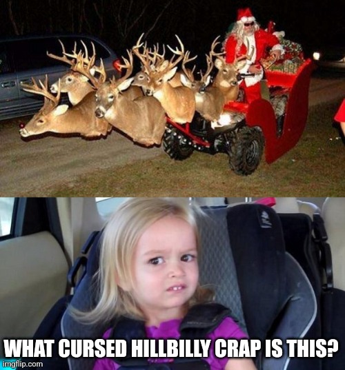 WHAT THE REDNECK? | WHAT CURSED HILLBILLY CRAP IS THIS? | image tagged in wtf girl,cursed image,redneck,cursed,santa,christmas | made w/ Imgflip meme maker