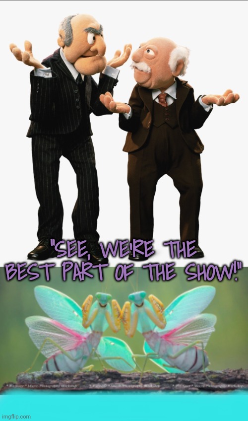 Best in Show | "SEE, WE'RE THE BEST PART OF THE SHOW!" | image tagged in hecklers,bugs | made w/ Imgflip meme maker