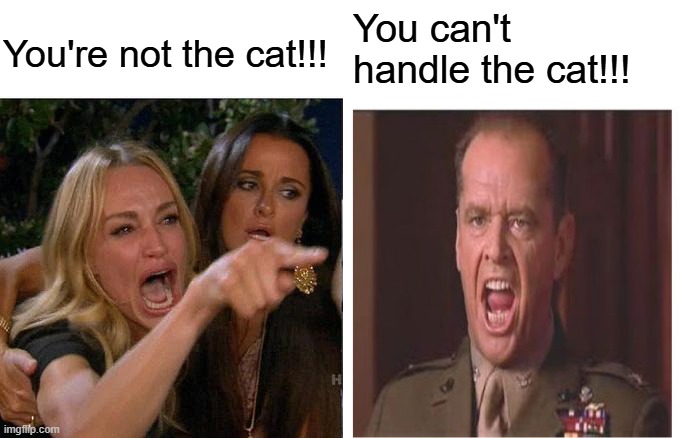 Woman Yelling at Cat | You're not the cat!!! You can't handle the cat!!! | image tagged in memes,woman yelling at cat,you can't handle the truth | made w/ Imgflip meme maker