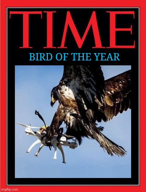 Eagle beats Drone | BIRD OF THE YEAR | image tagged in time magazine cover black blank,american,bald eagle,drones | made w/ Imgflip meme maker