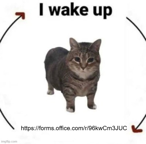 https://forms.office.com/r/96kwCm3JUC - please fill this out, I'm bored | https://forms.office.com/r/96kwCm3JUC | image tagged in i wake up cat | made w/ Imgflip meme maker