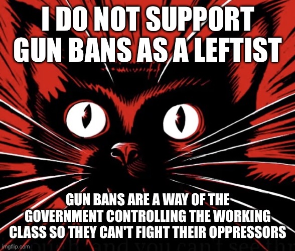 Arm the working class | I DO NOT SUPPORT GUN BANS AS A LEFTIST; GUN BANS ARE A WAY OF THE GOVERNMENT CONTROLLING THE WORKING CLASS SO THEY CAN'T FIGHT THEIR OPPRESSORS | image tagged in sabo tabby cat | made w/ Imgflip meme maker