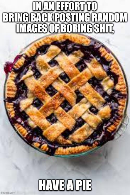 Don't say this is ANY FORM of upvote begging I SWAR | IN AN EFFORT TO BRING BACK POSTING RANDOM IMAGES OF BORING SHIT, HAVE A PIE | image tagged in pie | made w/ Imgflip meme maker