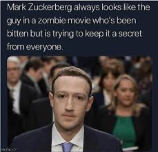 Mark Zombie-burg | image tagged in memes | made w/ Imgflip meme maker