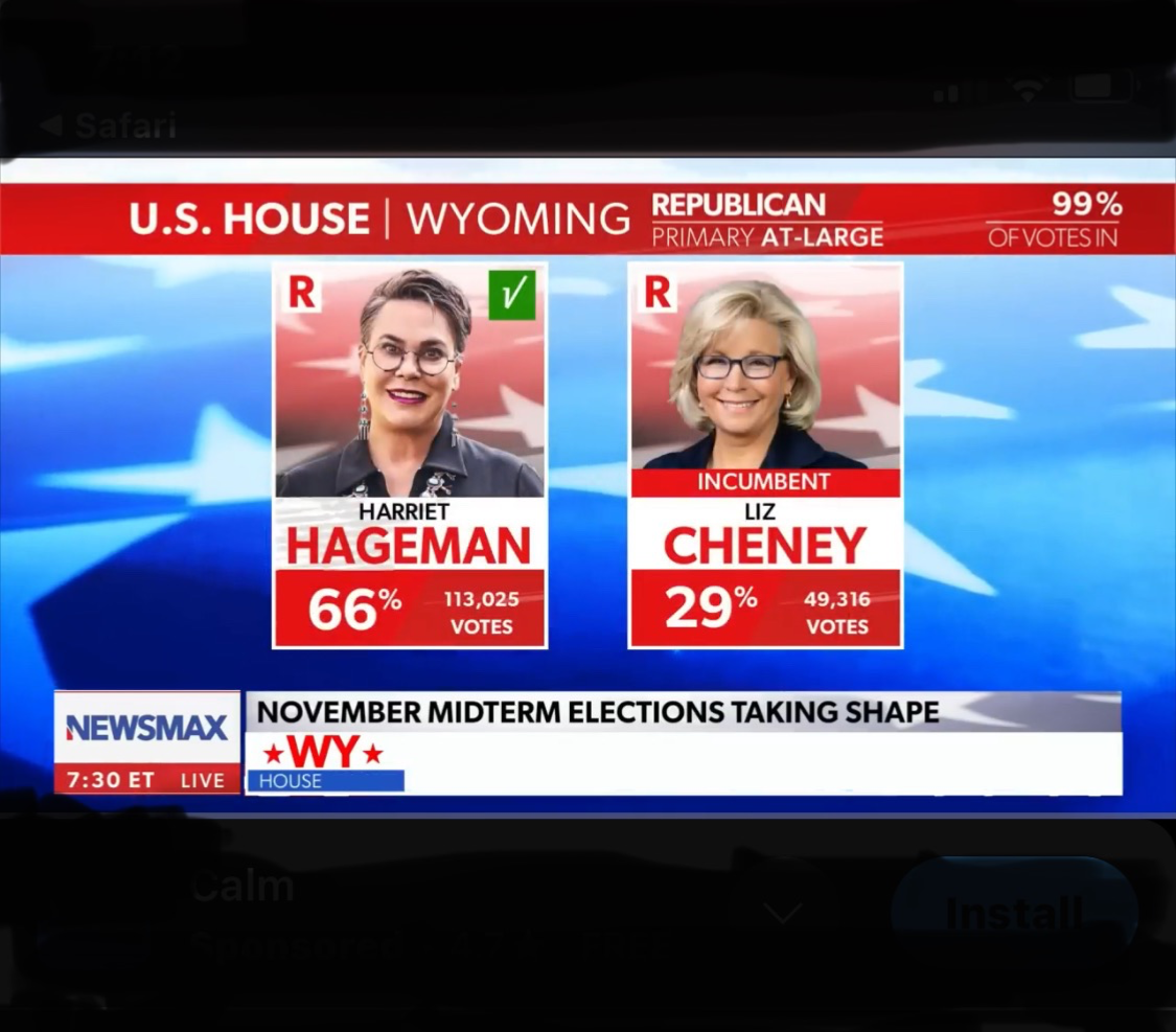 Liz Cheney Blank Meme Template