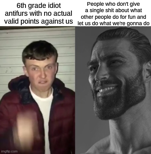 Look, if you're against furries and think you have actual genuine valid points, tell me in the comments CALMLY please | People who don't give a single shit about what other people do for fun and let us do what we're gonna do; 6th grade idiot antifurs with no actual valid points against us | image tagged in average fan vs average enjoyer | made w/ Imgflip meme maker