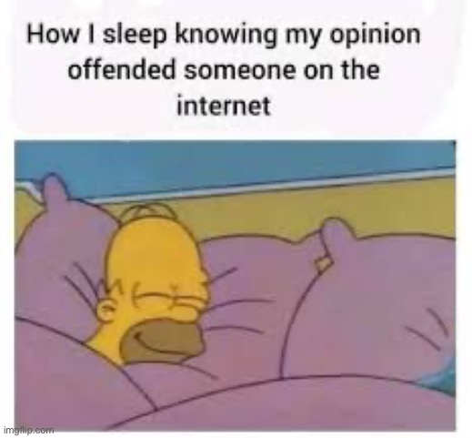 Offending people across the internet | image tagged in memes,funny | made w/ Imgflip meme maker