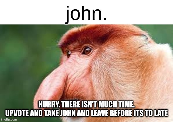 John. | HURRY. THERE ISN'T MUCH TIME.
UPVOTE AND TAKE JOHN AND LEAVE BEFORE ITS TO LATE | image tagged in john | made w/ Imgflip meme maker