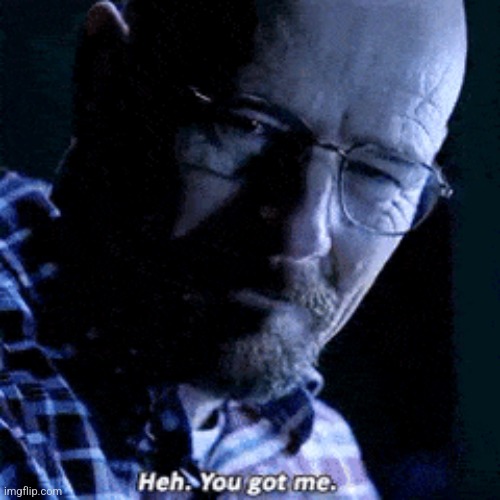 walter white "you got me" | image tagged in walter white you got me | made w/ Imgflip meme maker