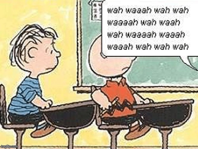 Charlie Brown teacher | image tagged in charlie brown teacher | made w/ Imgflip meme maker