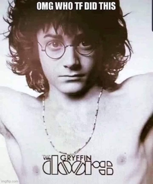 You’re a Wizard, Harry | image tagged in wizard,gryffendor,harry potter,jim morrison | made w/ Imgflip meme maker