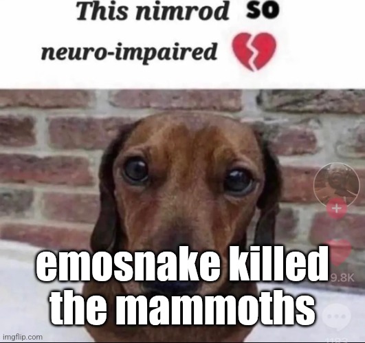 this nimrod so neuro-impaired | emosnake killed the mammoths | image tagged in this nimrod so neuro-impaired | made w/ Imgflip meme maker