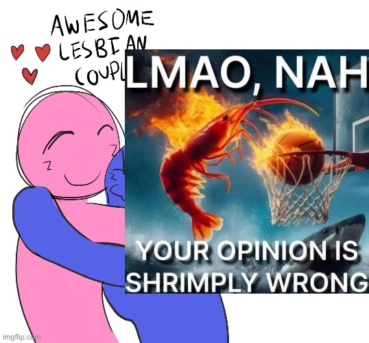 Awesome Lesbian Couple | image tagged in awesome lesbian couple | made w/ Imgflip meme maker