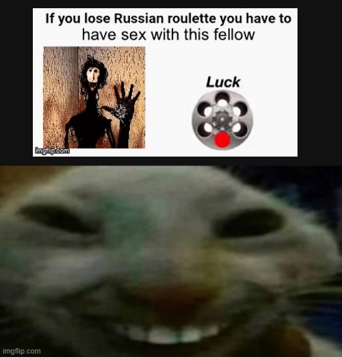 image tagged in creepy cat | made w/ Imgflip meme maker